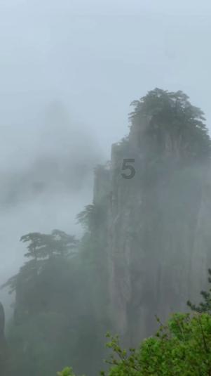逃出郊外露营地