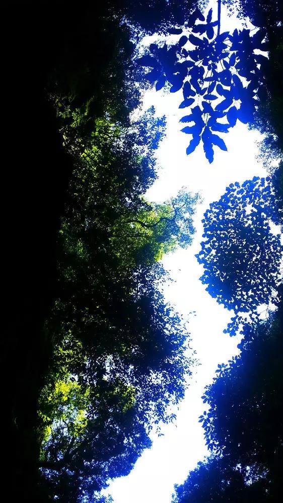 侏罗纪世界进化