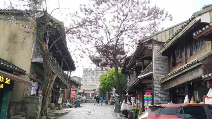 动物帮帮忙保卫家园